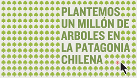 Reforestemo la patagonia